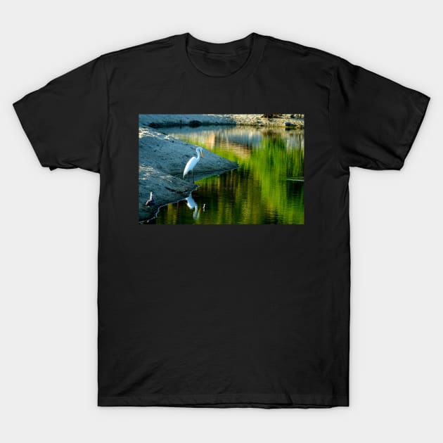 Oiseau aux repos en bord de l'eau T-Shirt by franck380